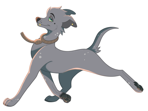 Clean full body Clean full body