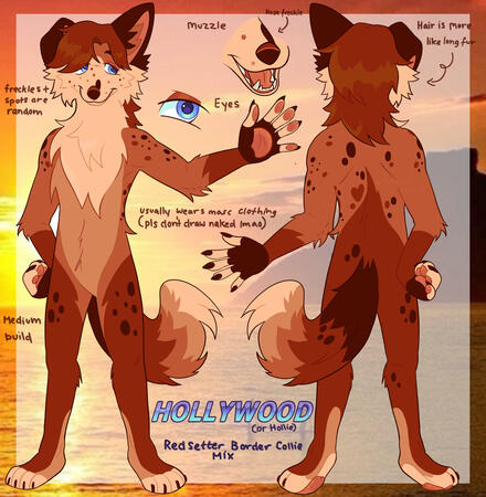 Reference sheet Reference sheet