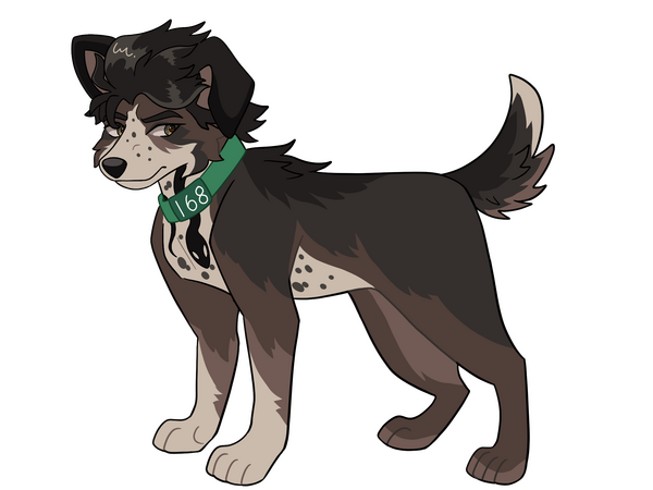 Custom example Custom example